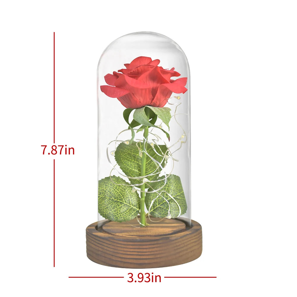 Enchanted LED roses, glass dome, warm white light, Valentine's