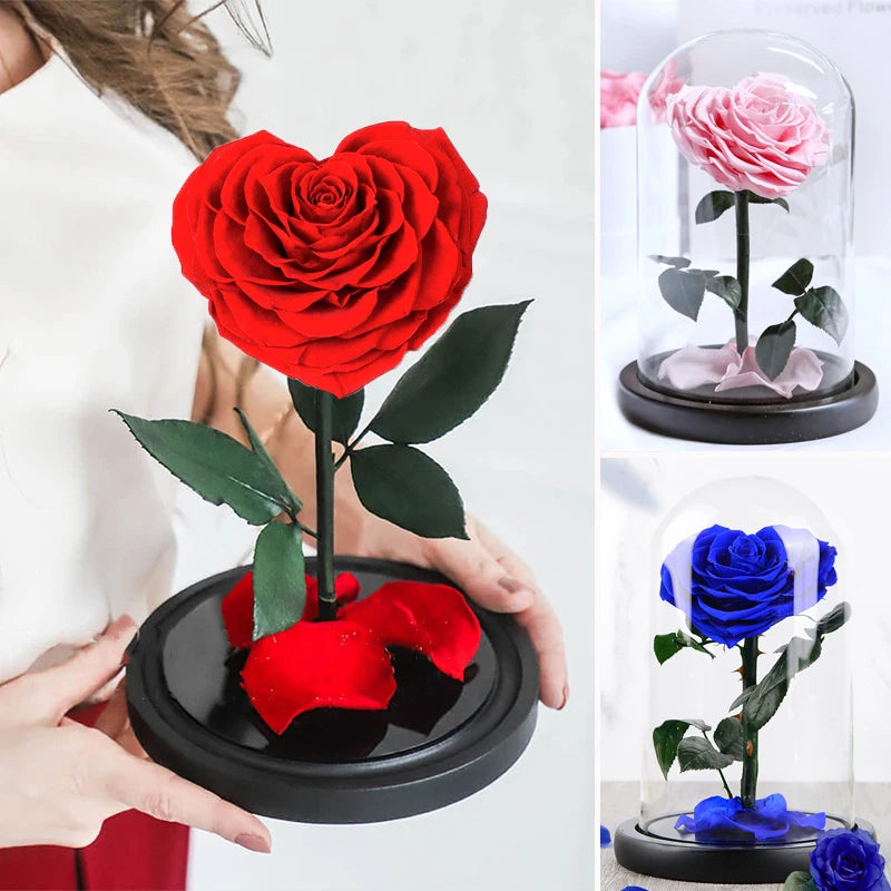 Red preserved heart-shaped rose in a glass dome, a perfect Valentine's Day gift.