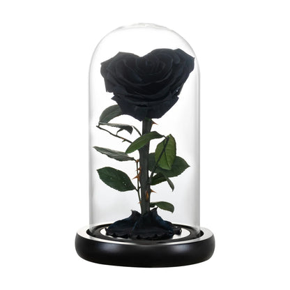 Top view of heart-shaped red rose in a clear glass dome.