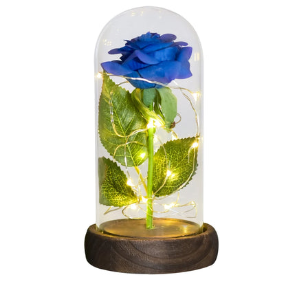 Enchanted LED roses, glass dome, warm white light, Valentine's