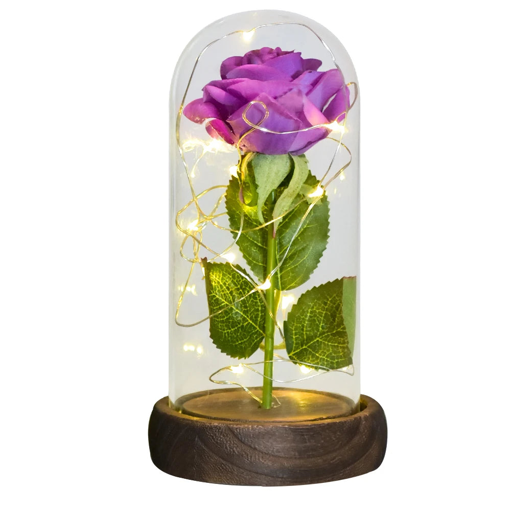 Close-up of red LED rose in glass dome, Valentine's Day gift