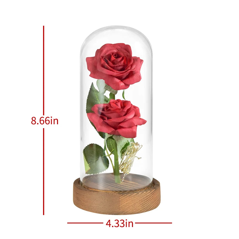 Enchanted LED roses, glass dome, warm white light, Valentine's