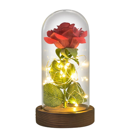 Enchanted LED roses, glass dome, warm white light, Valentine's