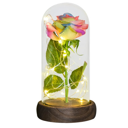 Beauty and the Beast rose in glass, LED illuminated, gift.