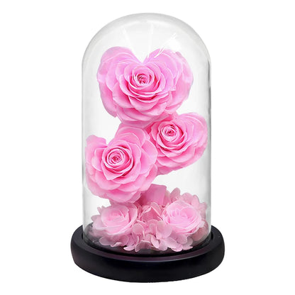 Red preserved rose gift, angled view, reflective glass dome.