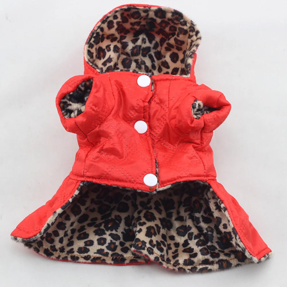 A small dog wearing a reversible leopard print dog coat.The coat has a hood and is made from a soft cotton blend.