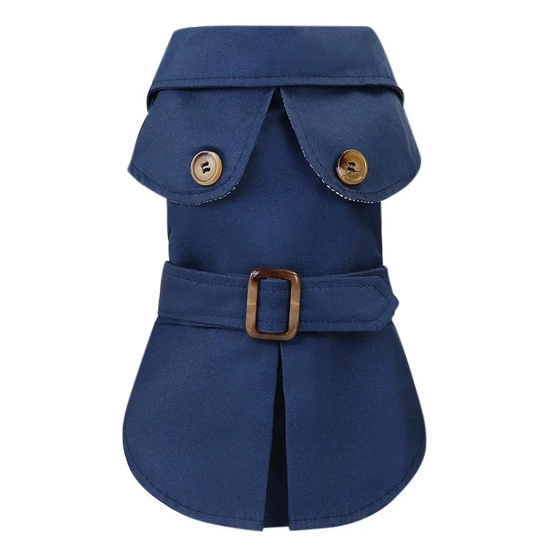 Miniature dachshund comfortably wearing a size Medium blue winter dog coat in snowy weather.