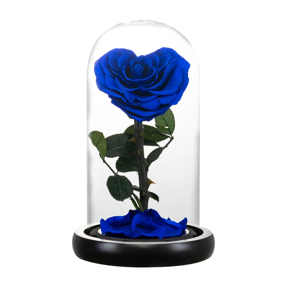 Red preserved rose gift, angled view, reflective glass dome.