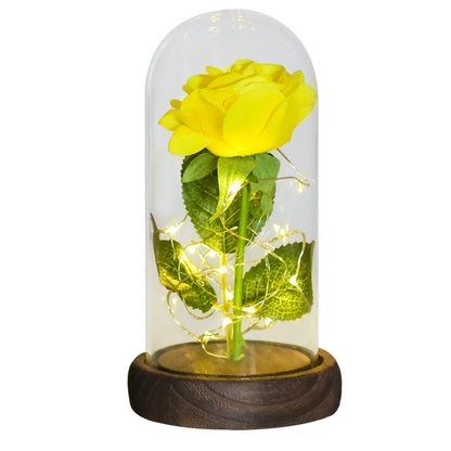 Forever rose, clear glass dome, warm white LEDs, romantic gesture.