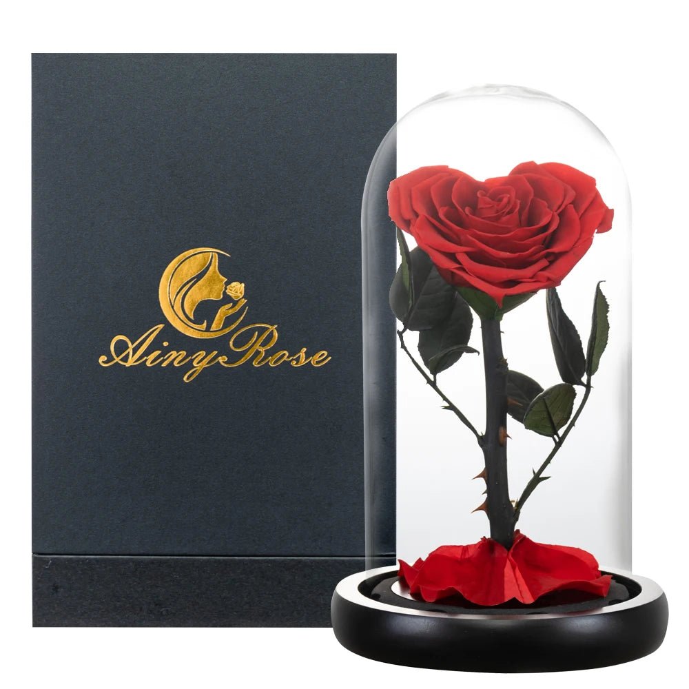 Heart-shaped red rose in glass dome, showing stem detail.