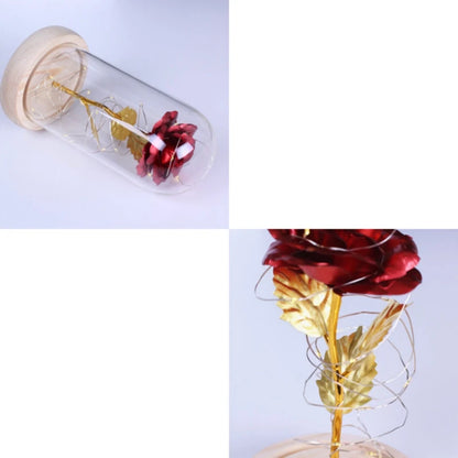 Glass dome with illuminated eternal rose, perfect Valentine's present.