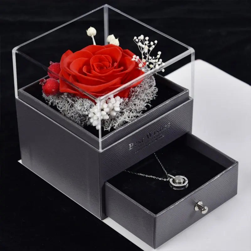 Valentine's gift idea, red rose in display, natural light