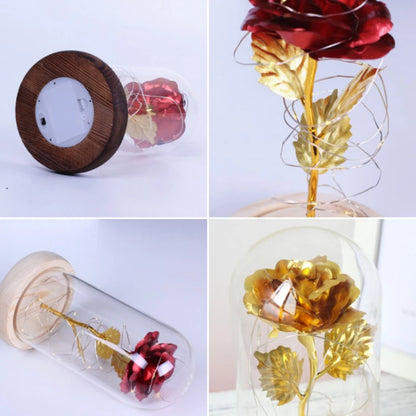 Beauty and the Beast style rose, LED lit glass dome, forever rose.