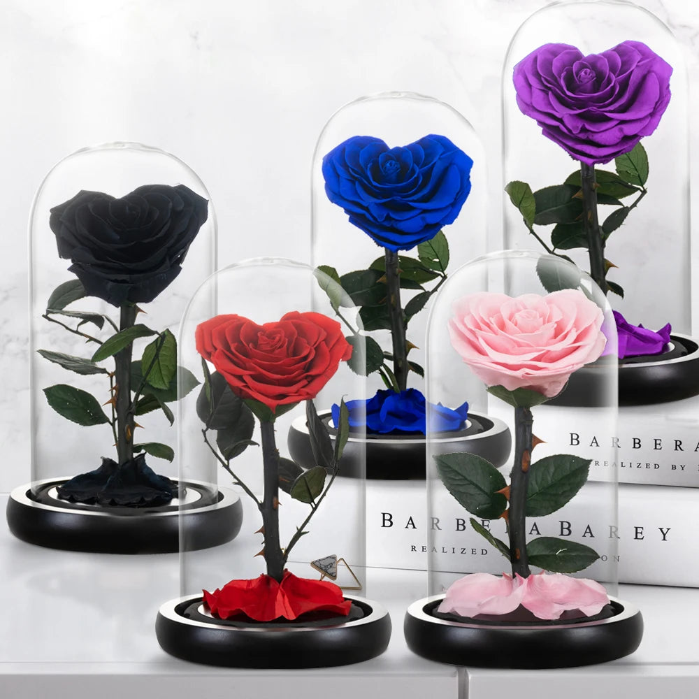 Red preserved rose gift, angled view, reflective glass dome.