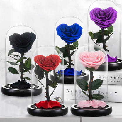 Red preserved rose gift, angled view, reflective glass dome.