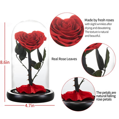 Top view of heart-shaped red rose in a clear glass dome.