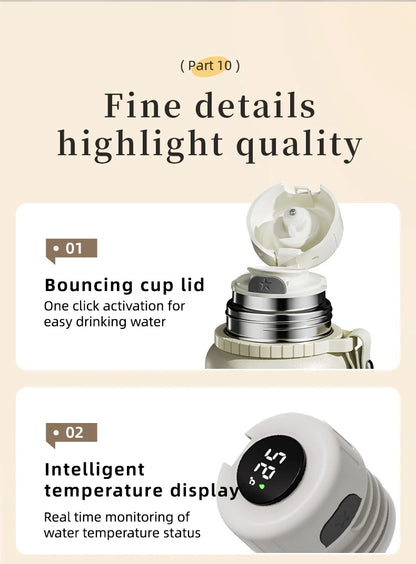 500ml Stainless Steel Thermal Bottle with Temperature Display, Tea Filter